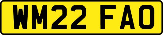 WM22FAO