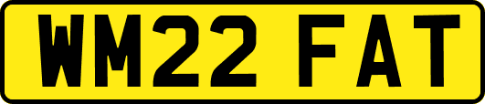 WM22FAT