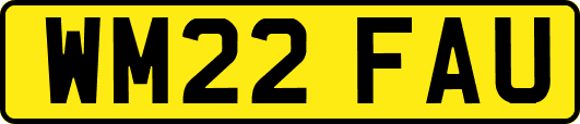 WM22FAU