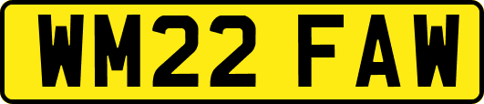 WM22FAW