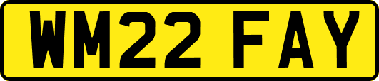 WM22FAY