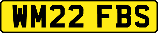 WM22FBS