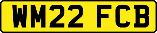 WM22FCB