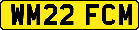 WM22FCM