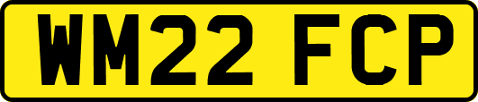 WM22FCP
