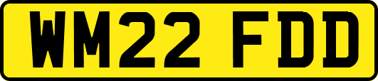 WM22FDD