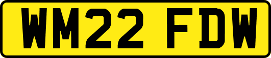 WM22FDW