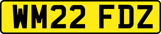 WM22FDZ