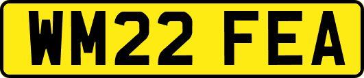 WM22FEA