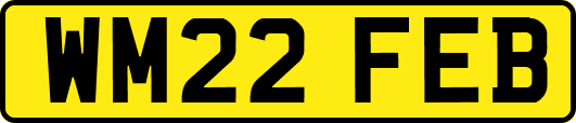 WM22FEB