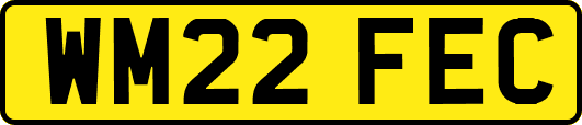 WM22FEC