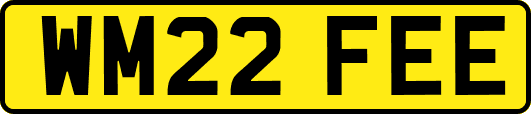 WM22FEE