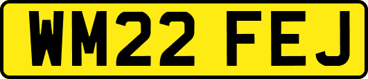 WM22FEJ