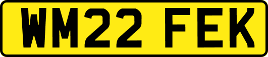 WM22FEK