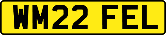WM22FEL