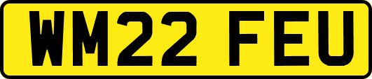 WM22FEU