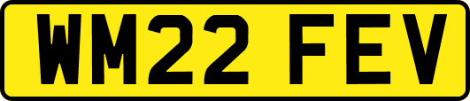 WM22FEV