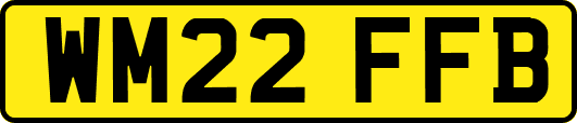 WM22FFB