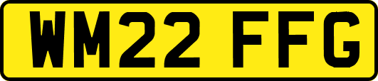 WM22FFG