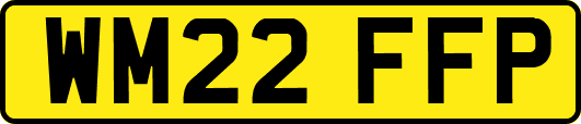 WM22FFP