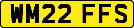 WM22FFS