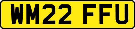 WM22FFU