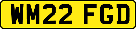 WM22FGD