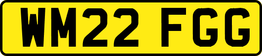 WM22FGG