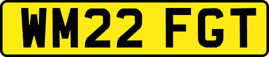 WM22FGT