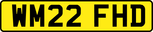 WM22FHD