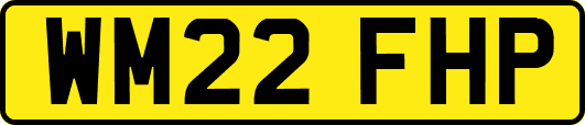 WM22FHP