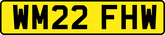 WM22FHW