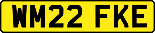 WM22FKE