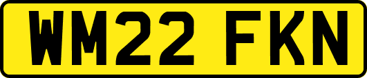 WM22FKN