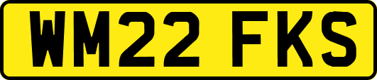 WM22FKS