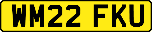 WM22FKU