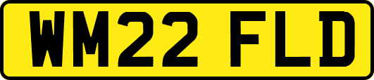 WM22FLD