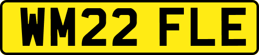 WM22FLE