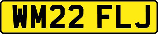 WM22FLJ