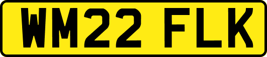 WM22FLK