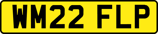 WM22FLP