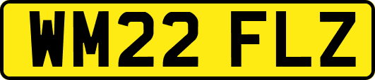 WM22FLZ
