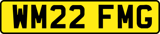 WM22FMG
