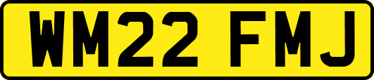 WM22FMJ