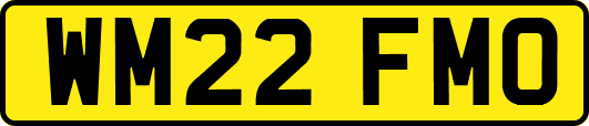 WM22FMO