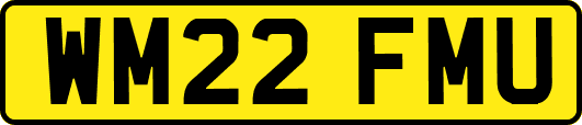 WM22FMU