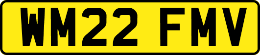 WM22FMV