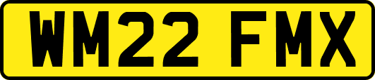 WM22FMX