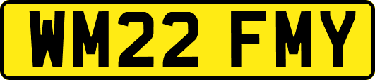 WM22FMY