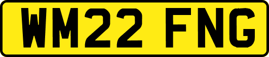 WM22FNG